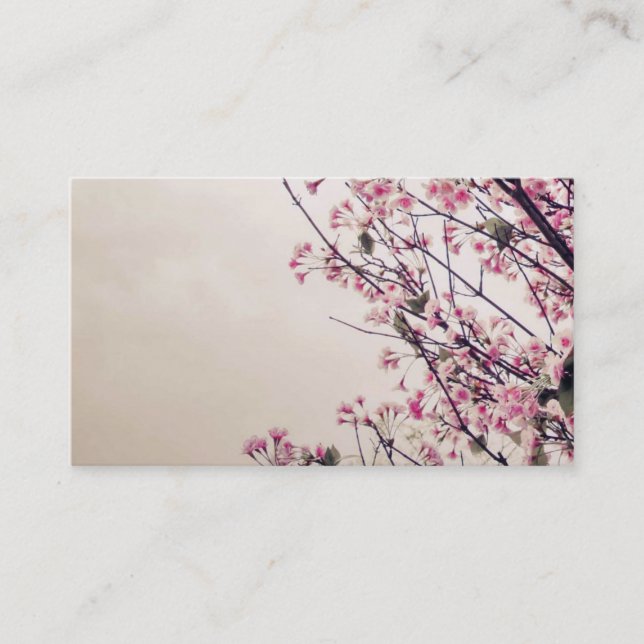 Les fleurs de cerisier fleurissent des cartes de (Devant)