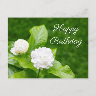 Les fleurs de jasmin sont sur la carte d'anniversa
