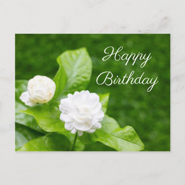 Les fleurs de jasmin sont sur la carte d'anniversa (Devant)