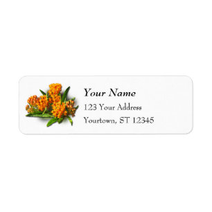 Les fleurs de légumineuses d'Orange
