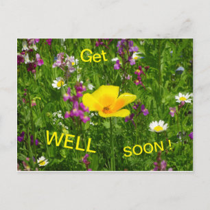 Les Fleurs D'Été Se Font Bien Bientôt Carte Postal