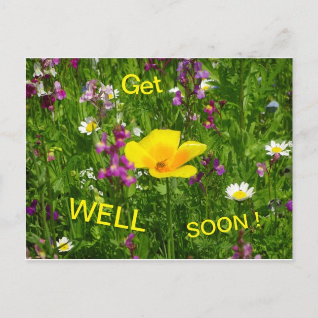 Les Fleurs D'Été Se Font Bien Bientôt Carte Postal (Devant)