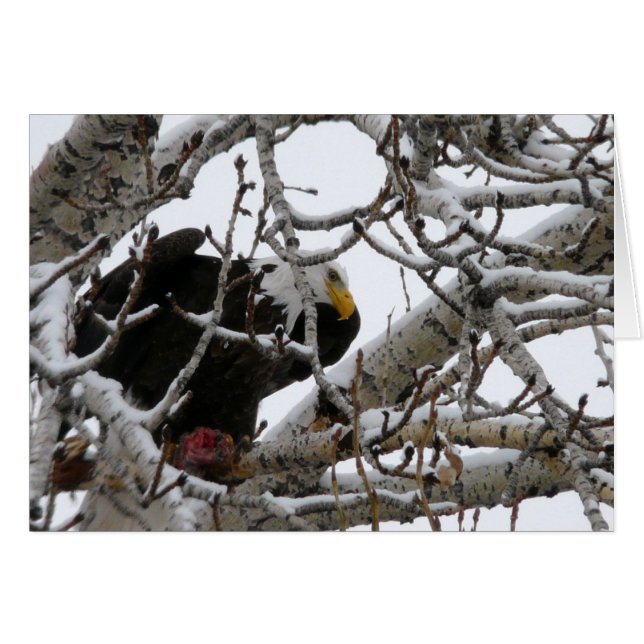 Les forts survivent (Devant horizontal)