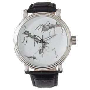 Les fourmis vont marcher dans la montre des hommes