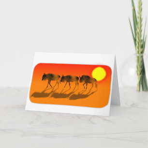 Les gnous au coucher du soleil Carte d'anniversair