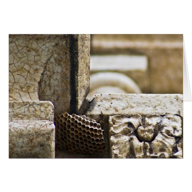 Les grands architectes (Devant Horizontal)