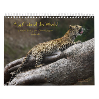 Les grands chats du calendrier mondial