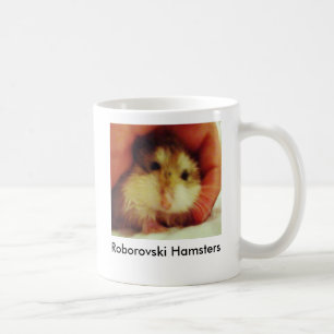Les hamsters de Roborovski autoguident la tasse