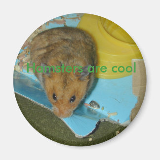 Les hamsters sont un aimant cool