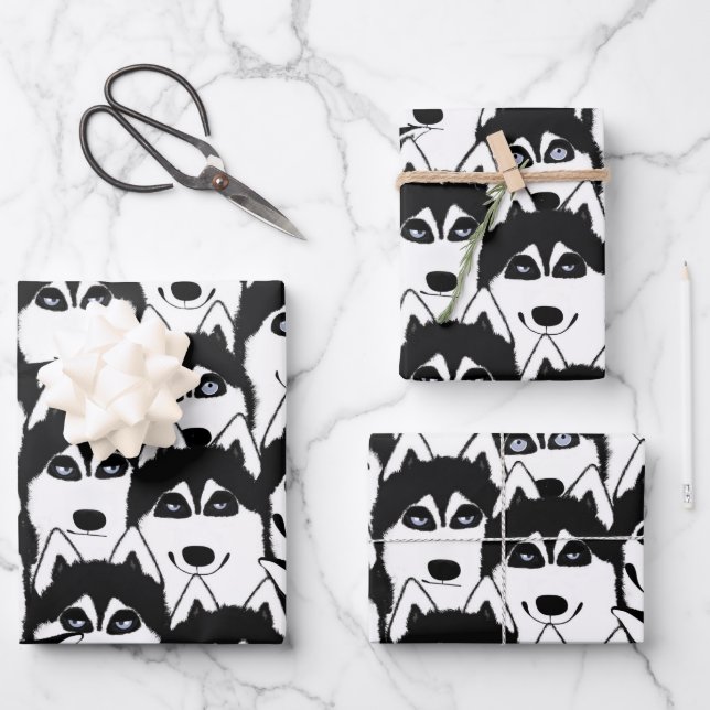 Les Huskies enveloppent les feuilles de papier (Recto)