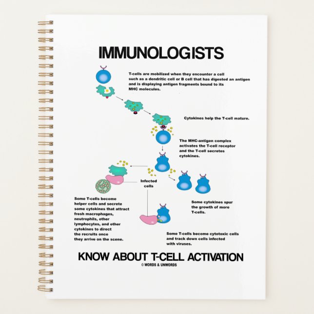 Les Immunologues connaissent l'activation des cell (Devant)