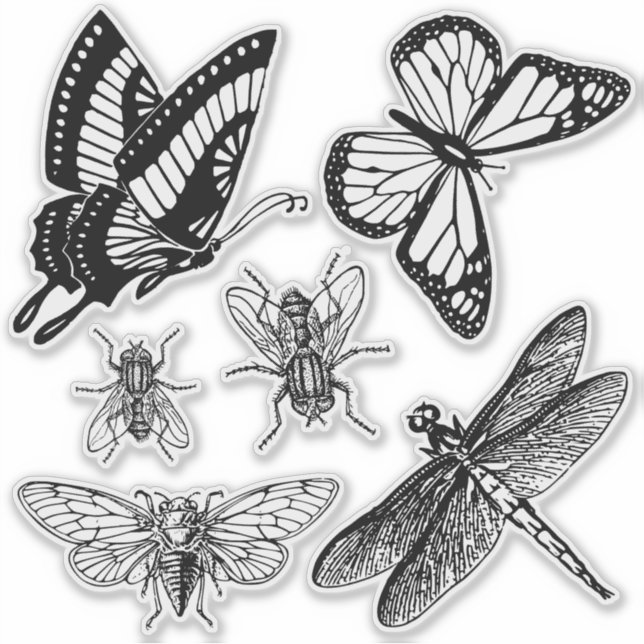 Les insectes volants autocollants transparents (Devant)