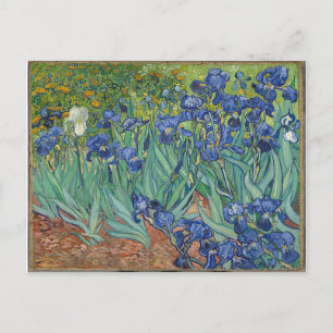 Les Iris Irises Vincent Van Gogh Postcard