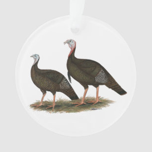 Les Jeunes Filles de Turkeys
