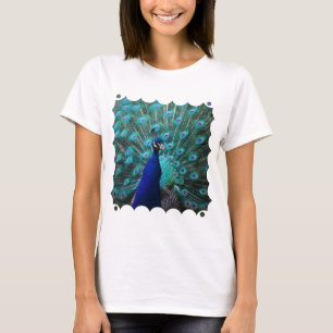 Les jolies dames de paon ont adapté le T-shirt