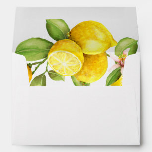Les limettes de citron et de verdure enveloppe la