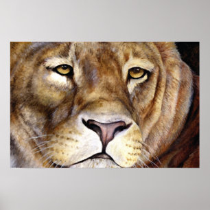 Les lions face à une affiche d'art
