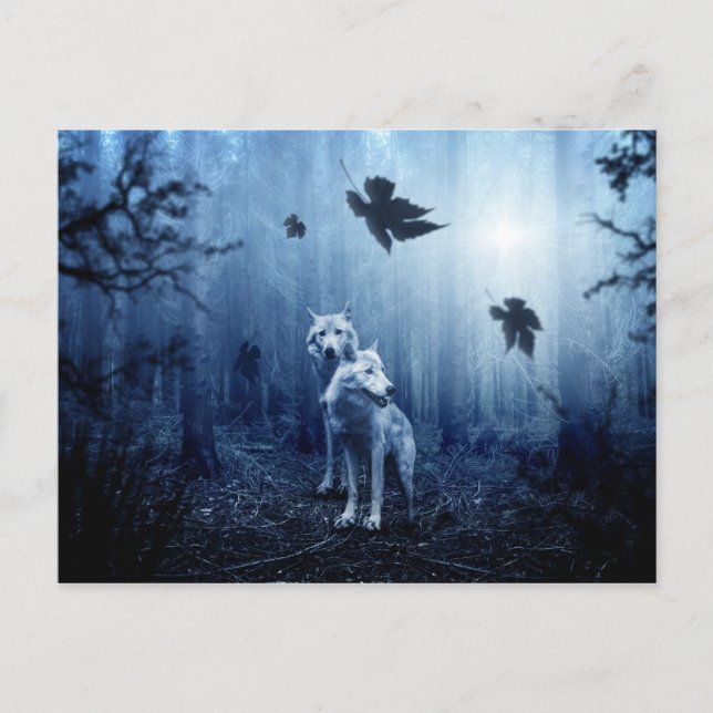 les loups dans les bois carte postale (Devant)