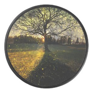 Les lucioles magiques paysage onirique