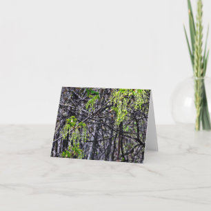 Les lustres de la nature de carte de note de