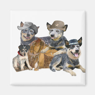 Les Magnets de l'Ouest de Blue Heeler's Go
