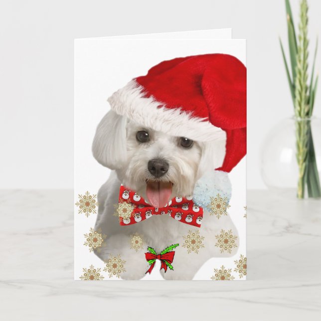 Les Maltais vous souhaitent une carte de Noël (Devant)