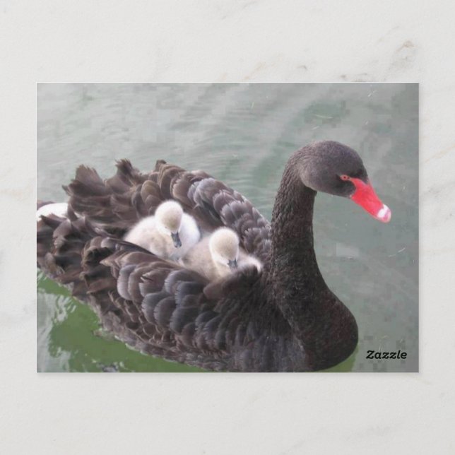 Les mères adorent carte postale (Dos)