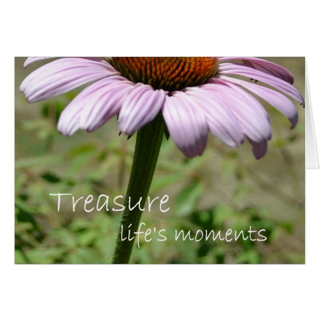 Les moments de la vie au trésor (Devant horizontal)