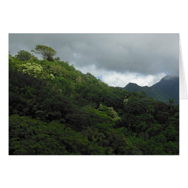 Les monts Koolau (Devant horizontal)