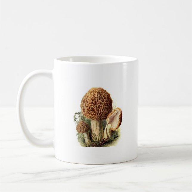 Les morelles sont tasse de café fongueuse (Gauche)