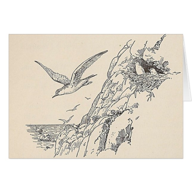 Les Mouettes (Devant horizontal)