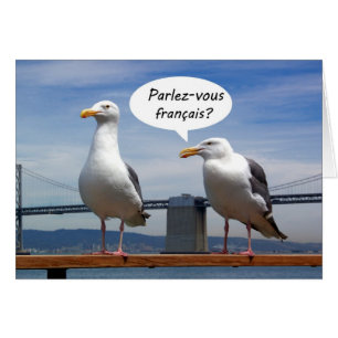 Les mouettes parlent français