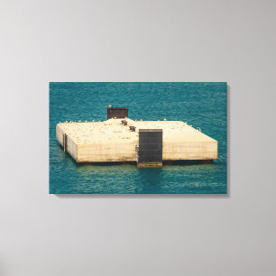 les mouettes sur toile étirée