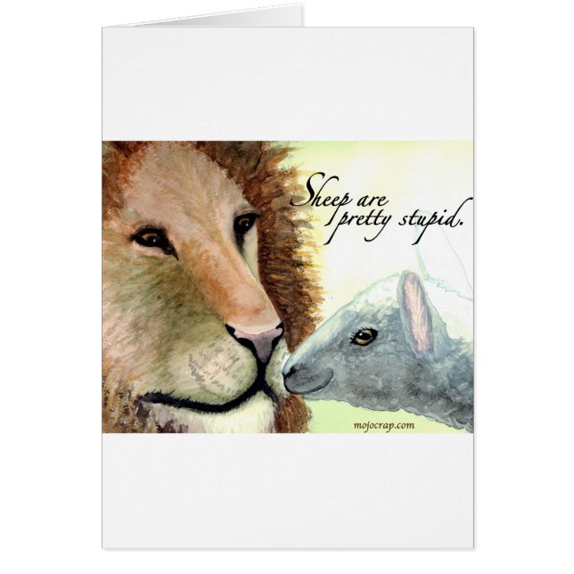 Les moutons sont assez stupides (Devant)