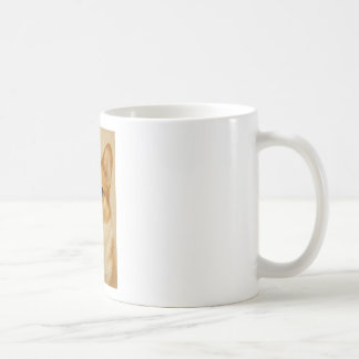 Les Mugs de Corgi