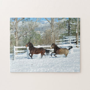 Les Mustangs courent au puzzle de neige