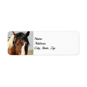 Les Mustangs sauvages de l'Occident Adresse