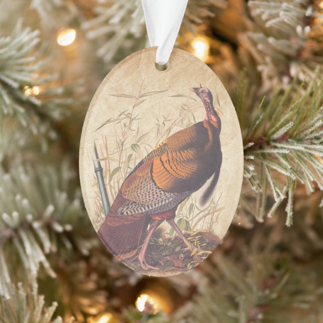 Les oiseaux d'Amérique d'Audubon La Turquie sauvag (Arbre)