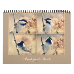 Les oiseaux dans votre calendrier de jardin