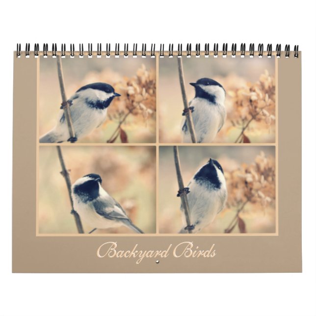 Les oiseaux dans votre calendrier de jardin (Protection)