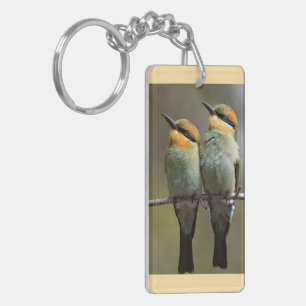 Les oiseaux regardent ainsi