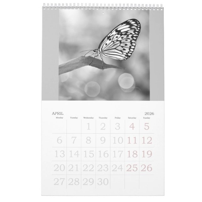 Les papillons sont toujours libres - un Calendrier (Apr 2026)