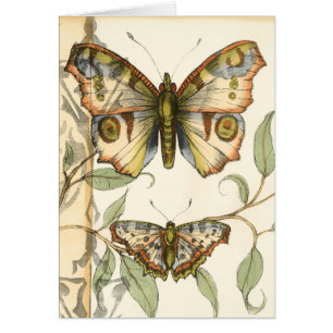 Les papillons Tandem sur les Feuilles verts