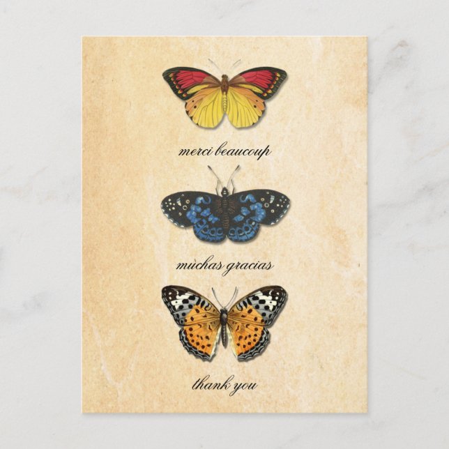 Les Papillons Thank You Postcard (Front)