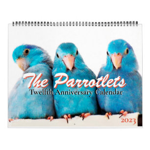 Les Parrotlets 2023 Calendrier des 12 ans