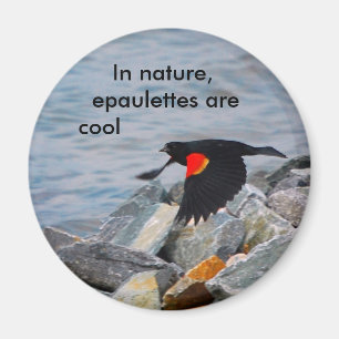 Les paulettes sont Cool - aimant