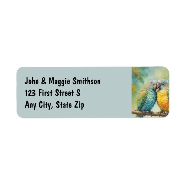 Les perroquets de chaume Nature tropicale des oise (Devant)