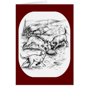 Les petits coyotes