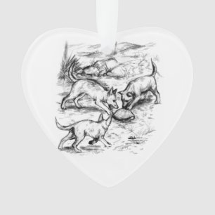 Les petits coyotes