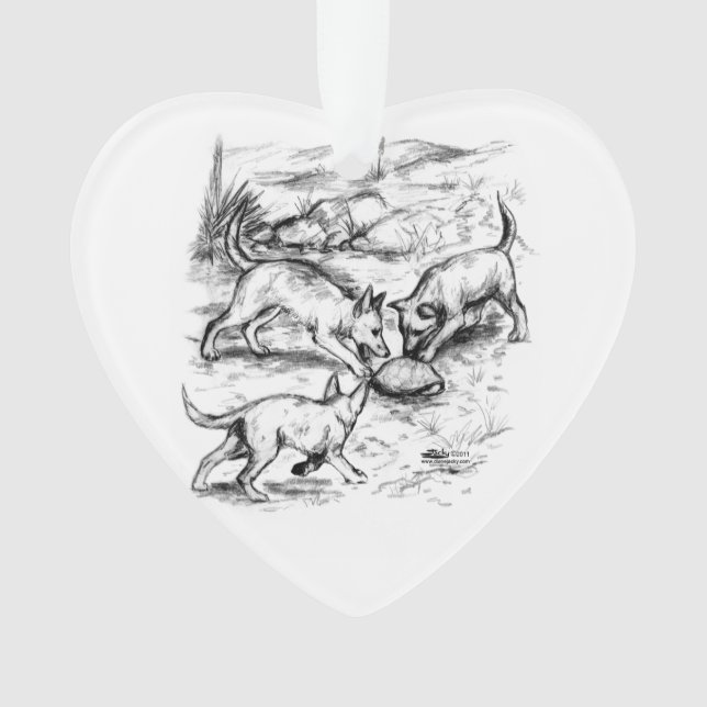 Les petits coyotes (devant)